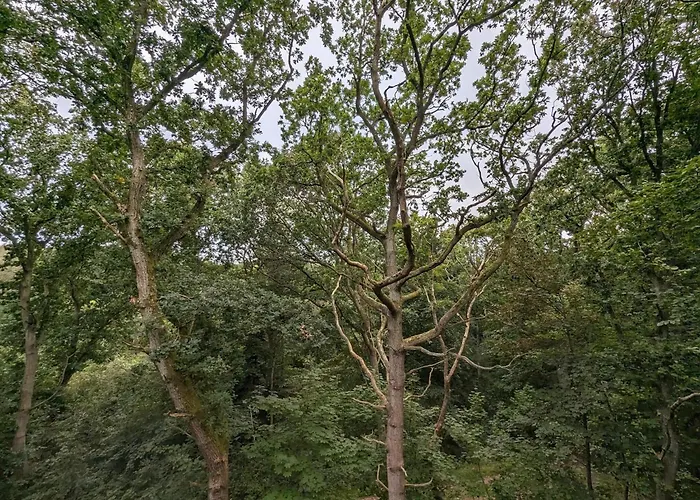 Hébergement de vacances Tranquil Waterfront Cottage-by Traum *